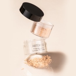 ARTDECO ARTDECO Пудра рассыпчатая Translucent Loose Powder, тон 02 светлый, 8 г