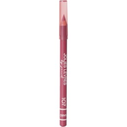 Vivienne Sabo Vivienne Sabo Карандаш для губ/Lipliner/ Crayon Contour des Levres Jolies Levres тон/shade107
