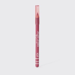 Vivienne Sabo Vivienne Sabo Карандаш для губ/Lipliner/ Crayon Contour des Levres Jolies Levres тон/shade107