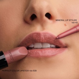 ARTDECO ARTDECO Помада для губ увлажняющая PERFECT COLOR LIPSTICK тон 839, 4 г