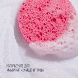 Stellary Stellary Спонж из натуральной целлюлозы / Cellulose sponge