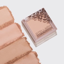 Stellary Stellary Компактная пудра / Pressed powder /Soft matte powder тон S 03