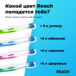 Reach REACH Зубная щетка Stay White Белизна зубов средней жесткости