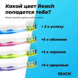 Reach REACH Зубная щетка Dual effect Массаж дёсен мягкая