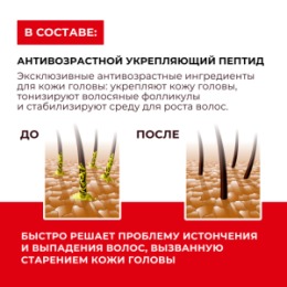 KANS KANS Шампунь для жирных волос и кожи головы calp Oil-controlling Shampoo, 300 г