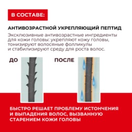 KANS KANS Шампунь для восстановления и укрепления сухих и поврежденных волос Repairing Strengthening Shampoo, 300 г