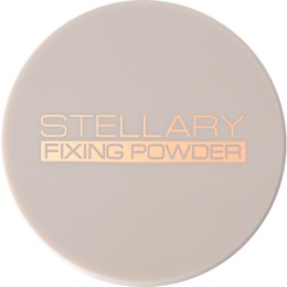 Stellary STELLARY Пудра рассыпчатая фиксирующая / Perfect matte fixing powder: тон 02 Transparent banana