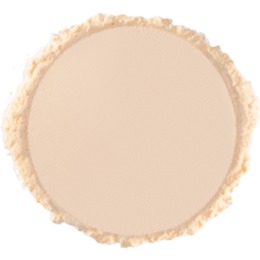 Stellary STELLARY Пудра рассыпчатая фиксирующая / Perfect matte fixing powder: тон 02 Transparent banana
