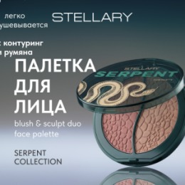 Stellary Stellary Палетка для лица / Blush & Sculpt duo face palette Serpent collection тон 01