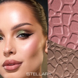 Stellary Stellary Палетка для лица / Blush & Sculpt duo face palette Serpent collection тон 01