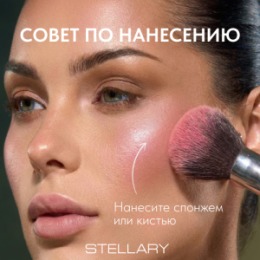 Stellary Stellary Палетка для лица / Blush & Sculpt duo face palette Serpent collection тон 01
