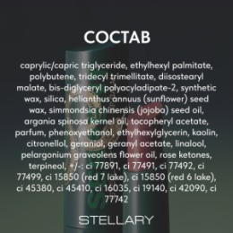 Stellary Stellary Оттеночный бальзам для губ / Tinted lip balm Serpent collection тон 02