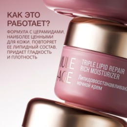 Vivienne Sabo Vivienne Sabo Formule Anti-age Липидовосстанавливающий ночной крем / Triple Lipid Repair Rich Moisturizer / Creme de Nuit Relipidante