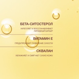 Vivienne Sabo Vivienne Sabo Formule Anti-age Гидрофильное масло для снятия макияжа / Makeup Cleansing Oil / Huile Demaquillante