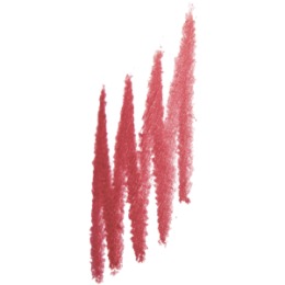 Deborah Milano DEBORAH MILANO Карандаш для губ автоматический водостойкий 24ORE MAKE UP FILLER EFFECT - LONG LASTING - NO TRANSFER, тон: 05, 0,3г