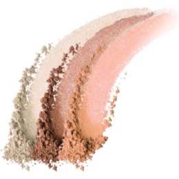 ARTDECO ARTDECO Трехцветная бронзирующая пудра, All Seasons Bronzing Powder, 13,5г
