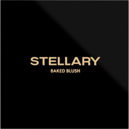 Stellary Stellary Запеченные румяна / Baked blush SkinPrivilege тон 02